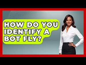 How Do You Identify A Bot Fly? - The Horses Stable