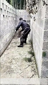 Cornering the Escape: When Livestock Outsmarts the Capture Attempt