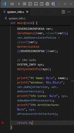 System Info Grabber in C WinAPI