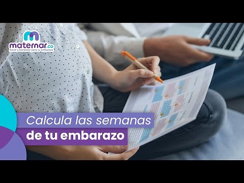 ¿Cómo saber cuántas semanas de embarazo tengo? | Maternar.co