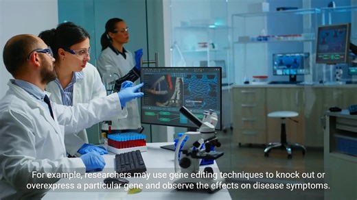 Understanding Target Validation in Drug Development