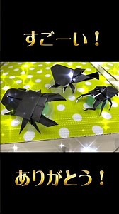 折り紙でカブトムシを作ってくれたよ