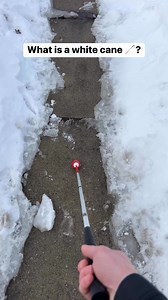 34K views · 289 reactions | A white cane is a mobility aid for the blind and visually impaired #blind #WhiteCane #VisuallyImpaired | Blind on the Move | Facebook