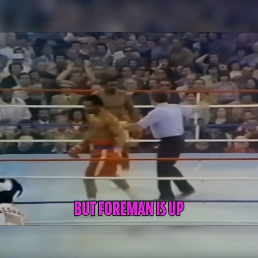 Foreman vs. Lyle: Epic Heavyweight Showdown Moments