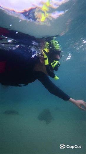 Exploring Ocean Beauty with Snorkeling Adventures