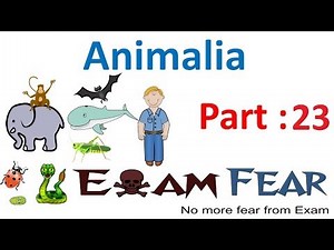 Vertebrata classification Video Lecture - NEET