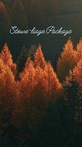 Experience Stowe in full color with our Stowe-liage Package. Enjoy a $100 resort credit, complimentary fitness classes, and the chance for a room upgrade (based on availability) as you take in Vermont’s breathtaking scenery. | Topnotch Resort