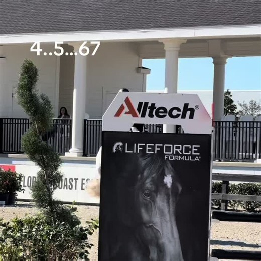 Explore Equestrian Vaulting at the Pennsylvania Horse Show