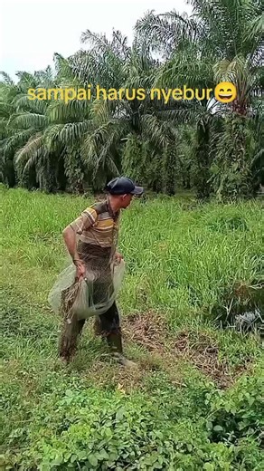 Jala Ikan di Parit: Hasil Memuaskan dan Seru!