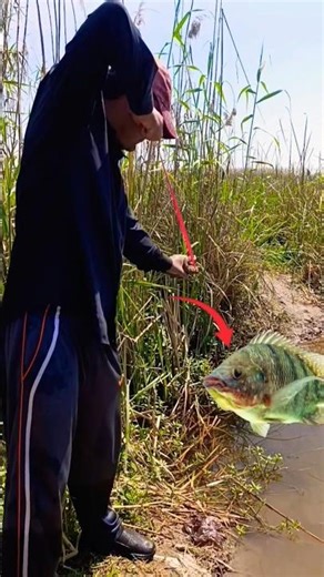 slingshot fishing target shooting skill 🎯 #slingshot #fishing #shortsfeed