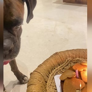 18K views · 436 reactions | The Snake Charmer on Reels | Facebook