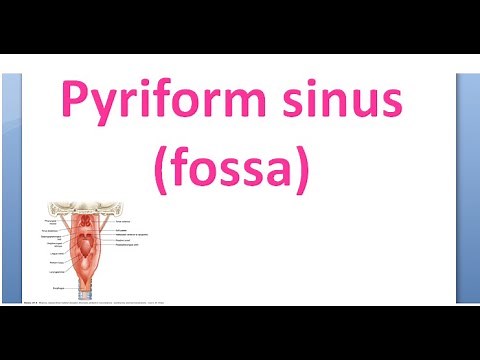 ENT Pyriform Sinus Fossa HypoPharynx LaryngoPharynx Carcinoma Malignancy smuggler