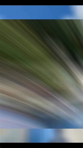 2025 has been a truly special year for Tiffany Trump and Michael Boulos — their adorable son Alexander has arrived. ✨🎄 In this photo, Tiffany holds him in her arms in front of the sparkling Christmas tree at the White House. Alongside Marla Maples and the whole family, they are cherishing every moment and eagerly awaiting the holiday season. #TiffanyTrump #BabyAlexander #HolidayMagic #FamilyTime #ChristmasVibes #NewYearSpirit | Fashion and Style Trump family