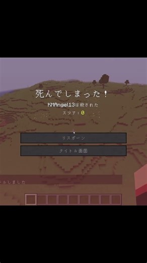 Minecraft Kill Command Moment