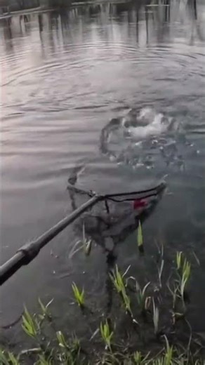 Buzzer Fishing - Fly Fishing UK 🇬🇧