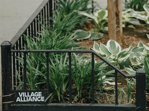 Village Alliance Launches $2 Million “Project Green” Campaign