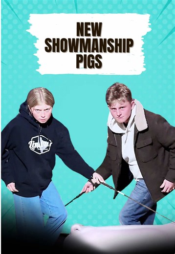 Starting fresh with new showmanship pigs! #showpigs #stockshowkids #livestockshow