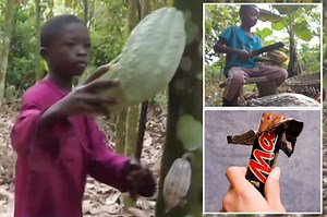 Mars, maker of M&Ms and Snickers, uses cocoa harvested by 5-year-old kids in Ghana: report