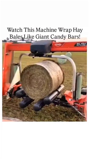 Science on Instagram: "This powerful bale wrapping machine spins and seals hay bales with plastic wrap in seconds, making them look like oversized candy rolls. It protects the hay from moisture and spoilage, ensuring it's preserved for livestock feed. Efficient, fast, and oddly satisfying to watch! . . . #BaleWrapping #FarmMachinery #SatisfyingMachines #AgricultureTech #HayBales #FarmingLife #MachineSatisfying #FarmEquipment #ModernFarming #AgriTech #FarmInnovation #HeavyMachinery #WrappingMachi