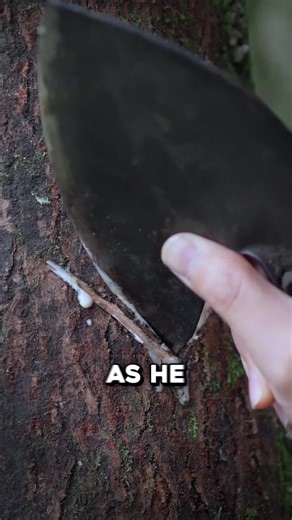 Nature’s most dangerous art supply. 🐍🖌️ #abacus #handmade #artprocess #foryou #learnontiktok