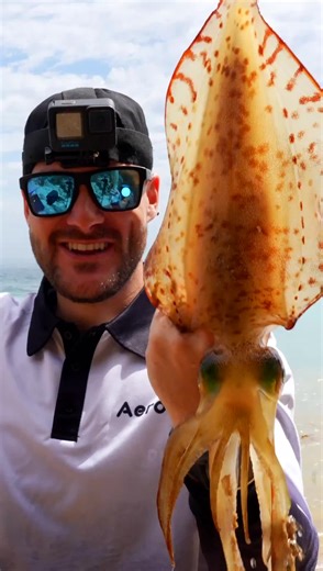 Drone Fishing for Big Squid: Tips and Techniques