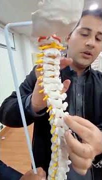 Thoracic Spinous Process Palpation | Rule of Threes (3s) Explained!"