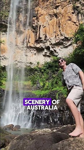 Springbrook National Park #Goldcoast #springbrook #nationalpark #qld #Australia #travel