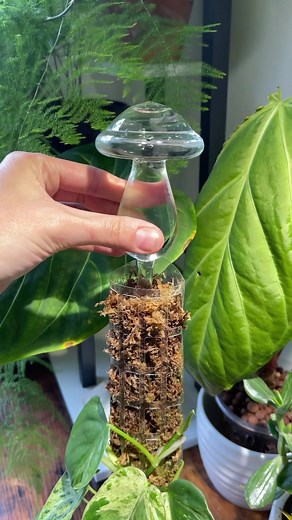 918K views · 14K reactions | I bought these in a pack of 4 and they...