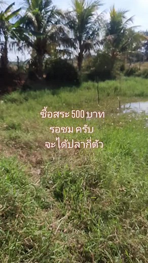 Exploring Agricultural Machinery in Rural Thailand