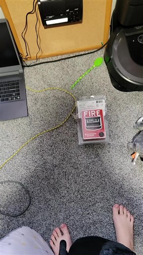 Fire lite bg12 arived @Jeremy @Fire fire FCI alarms @Jackobee FA @Oreothepuppy7 @🔥Firealarms n stuff🔥 @𝓚𝓲𝓷𝓰 𝓽𝓻𝓾𝓮𝓪𝓵𝓮𝓻𝓽 @N1GHTMAR3_FR3DB3AR @￶ ￶ @Life_safety_Greg