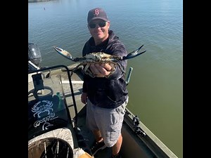 Chesapeake Bay Crabbing running a trotline catching Maryland Crabs