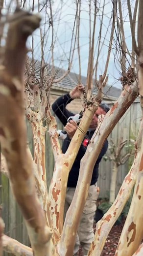  Have an unsightly stump that needs grinding, an unsafe tree that...