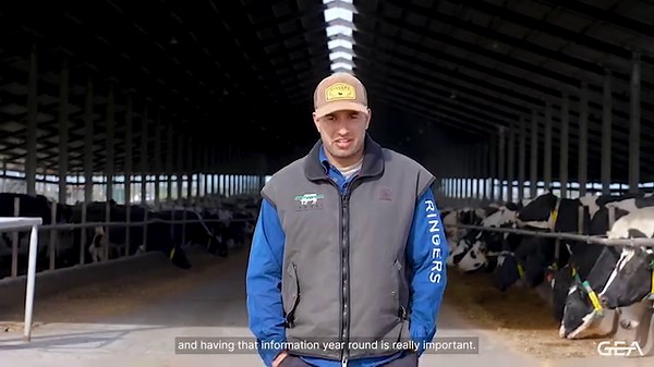Managing 1,000 cows can prove difficult when it comes to detecting heats, especially in a free stall barn environment. Waikato dairy farmer Arjun Singh at Lawwal Holsteins has put his trust in CowScout collars to save time on detecting and drafting cows for mating. CowScout collars work 24/7 to monitor cow activity - this data in turn then helps farmers to make more informed decisions. For Arjun, CowScout helps him cut down time spent on the vet stand, pick up on silent heats and better select s