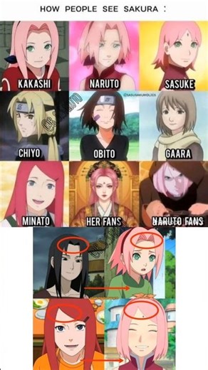 Who Really Sees Sakura? — A Meme Breakdown & Why Fans Disagree