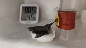 48K views · 1.7K reactions | In the last 2 weeks, we've received nine...