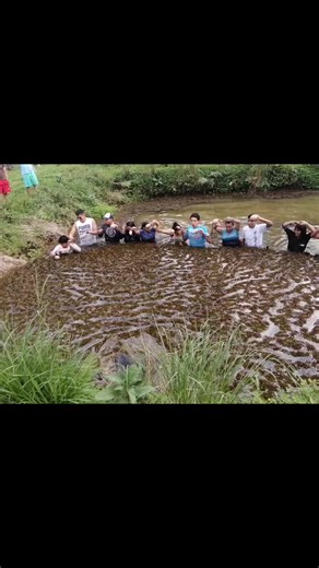 Understanding the Arapaima: A Deep Dive into Paiche Fish