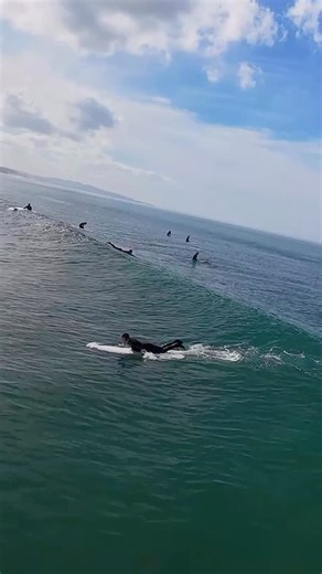 Ed Hartel on Instagram: "Surfer on a money ride out in the Sunday morning Encinitas, Ca waves 02/15/25 #sandiegosurf #surfvideo #encinitas #surfing🏄 #surfingiseverything"