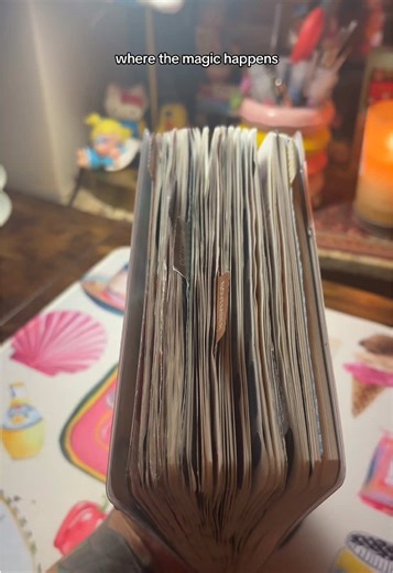 i started writing in this journal and posting here in august of this year 🤯. i had no idea i would become so consistent with it… i can’t wait for next year 🤍 #journaltok #journaladdict #journaling #journal #journals