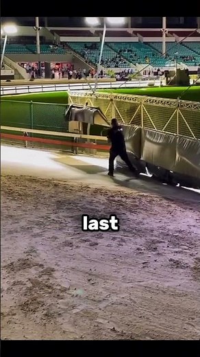 The Most Important Job At Every Greyhound Race
