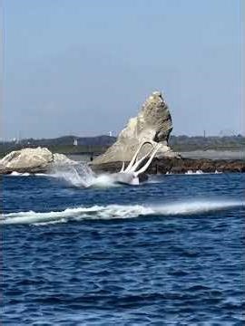 烏帽子岩 巨大イカ