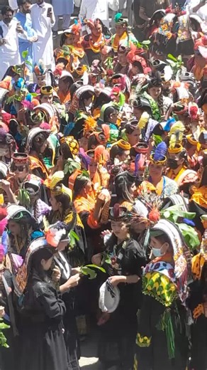 Explore Kalasha Culture in Kalash Valley