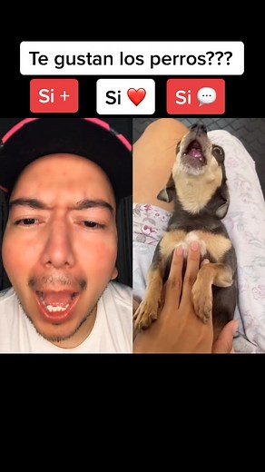 Lo más tierno que verás hoy en TikTok #dúo con @brighitearana #pacorecortes #petlover #ternura