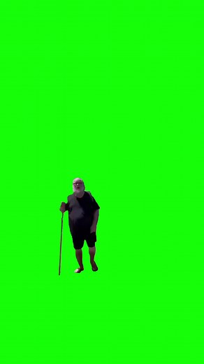 Green Screen Memes on TikTok