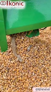 MINI MAIZE SHELLER Meet our Mini Maize Sheller designed for small to medium-scale farmers who want to shell maize quickly without the heavy labor. ✅ Lightweight and portable ✅ Easy to operate ✅ Ideal for home use, small farms, and cooperatives ✅ Reduces shelling time and grain loss Don’t let its size fool you because this machine delivers big results | Ikonic Agricultural Machines