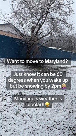 The Chaotic Weather Patterns of Maryland