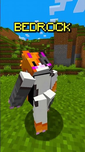Playing on Java vs. Bedrock #minecraft #minecraftshorts #minecraftbedrockedition #minecraftjava