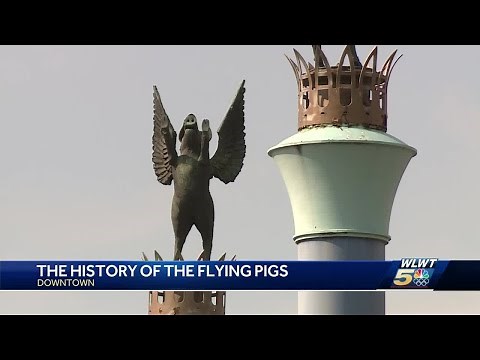 The history of the flying pigs