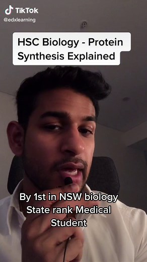 HSC Biology - Protein synthesis explained #hsc #biology #proteinsynthesis #sydney #vce #year12 #studytok #australia #vcebiology #ucat #atar #hschelp