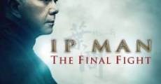 Ip Man - La Ultima Pelea (2013) - Ver Película Completa en Español - FULLTV
