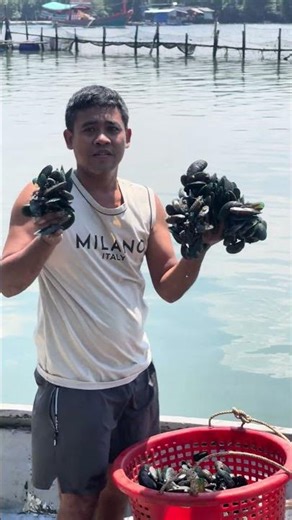 Daily Fish Farm Life in 20 Seconds! #shorts